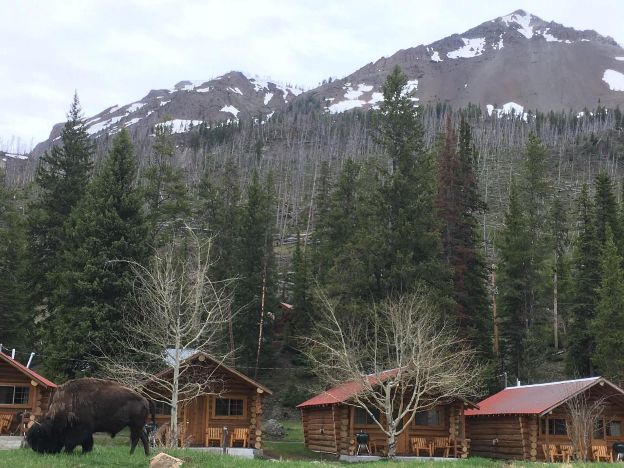 Silver Gate Lodging Cooke City Luaran gambar